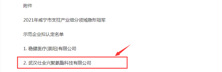 2021年咸寧市支柱產(chǎn)業(yè)細分領(lǐng)域隱形冠軍企業(yè)